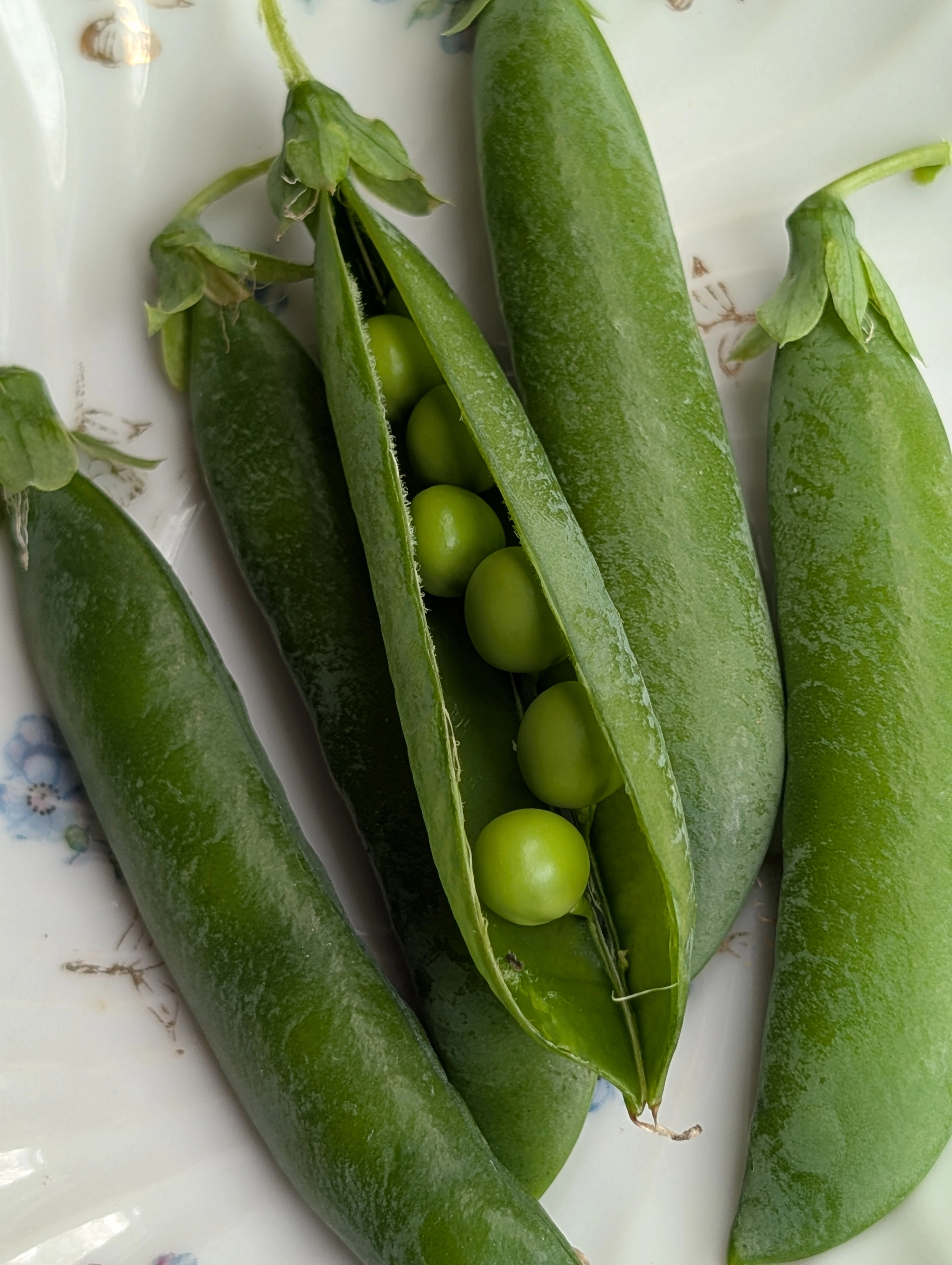 Organic Shell Peas